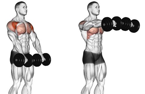 How To Do A Front Dumbbell Raise Correctly | Barbell Front Raise