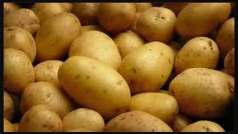 A Grade Uttar Pradesh Potato Brown, Carton, Packaging Size: 10 Kg at Rs ...