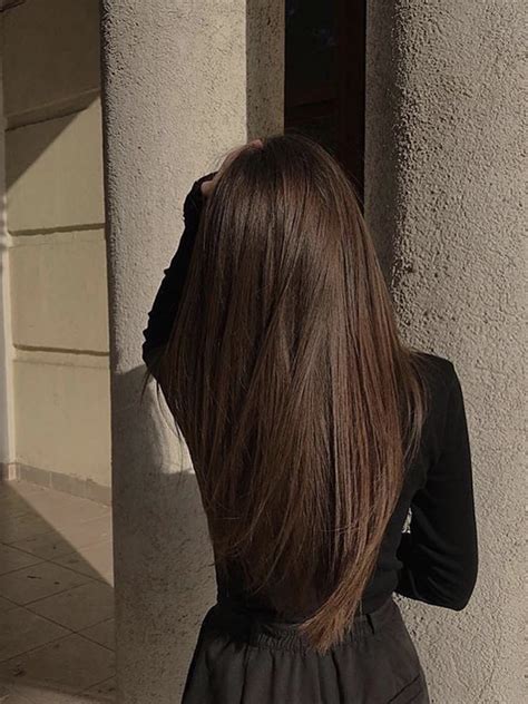 Pin by Demelza 🌱 on Random | Long hair styles, Brunette hair color, Dark brunette hair