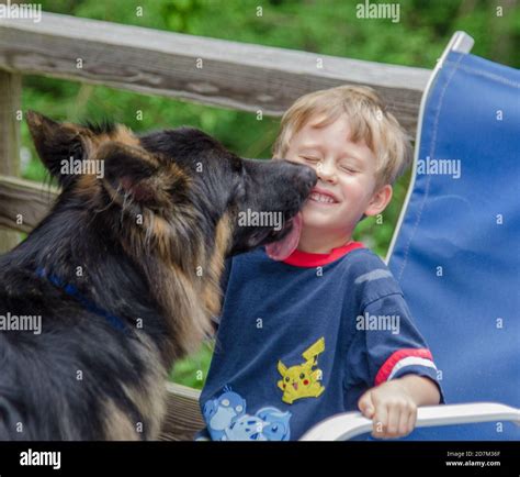 Dog licks face hi-res stock photography and images - Alamy