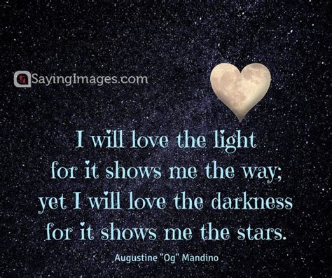 34 Star Quotes on Twinkling Lights and Joyful Dreams - SayingImages.com | Star quotes, Star love ...