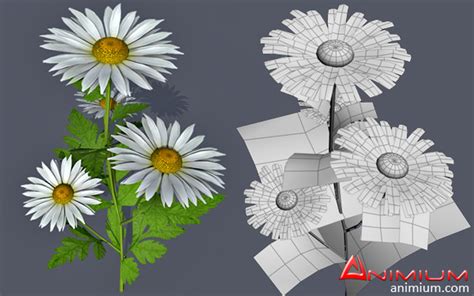 Flower 3d model