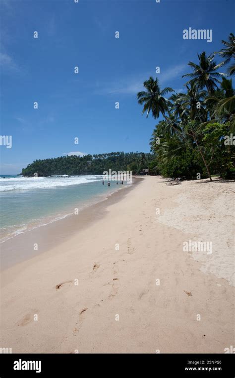 Mirissa Beach, Sri Lanka Stock Photo - Alamy