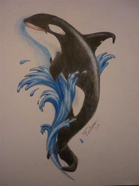 orca drawing , color pencil Orca Tattoo, Dolphins Tattoo, Whale Tattoos, Baby Tattoos, Dolphin ...