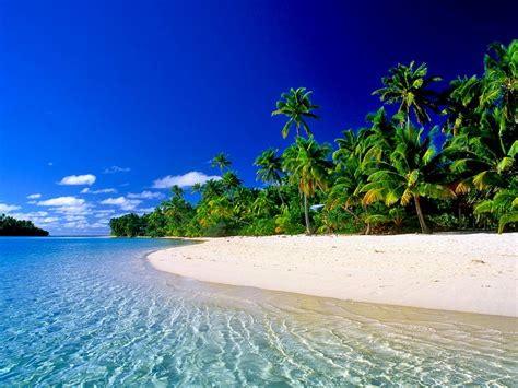 Cook Islands beach. Image credit not found. Image quality has been ...