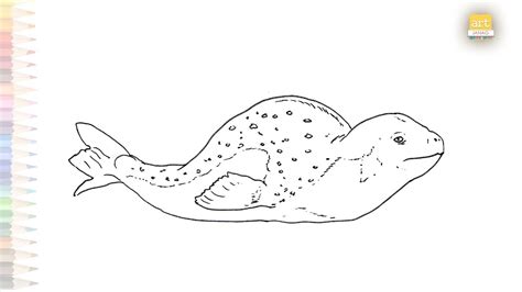 Leopard Seal drawing video | Seal drawings | How to draw Leopard Seal step by step | Animal ...