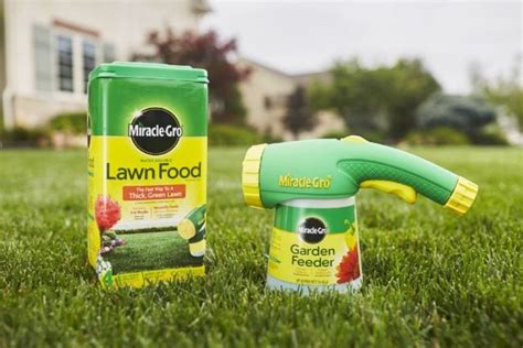 The Best Lawn Fertilizer for Your Needs - Backyard Boss