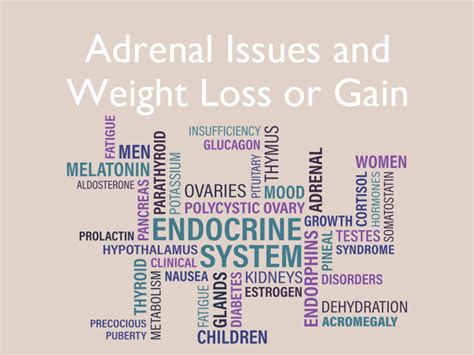 Adrenal Issues and Weight Loss or Gain - Nava Health