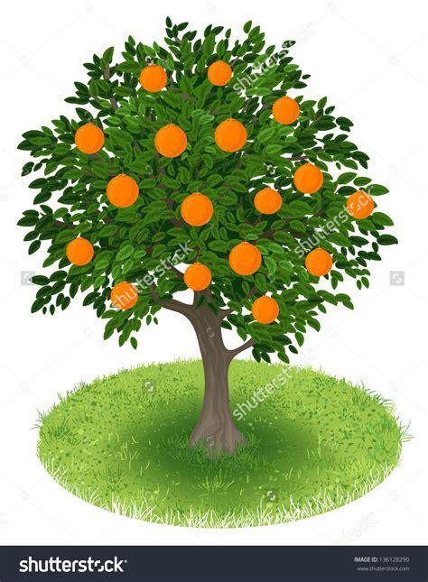 Cartoon Orange Tree Clipart Best - IMAGESEE