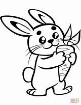 Cute Baby Bunny With A Carrot coloring Page  Free Printable Coloring Pages sketch template