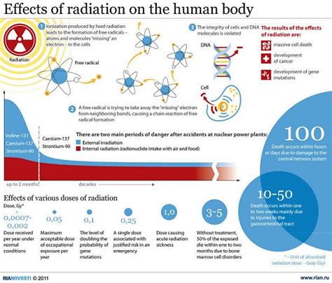 Niche To Know: Niche - Nuclear Radiation Effects On The Human Body