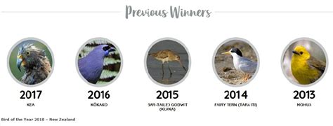 New Zealand: Vote for your bird of the year! – Pacificans