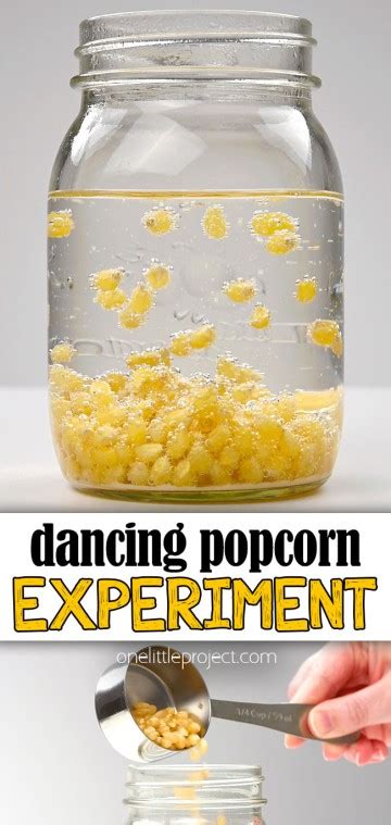 Dancing Popcorn Experiment | Fun & Easy Dancing Corn Science for Kids