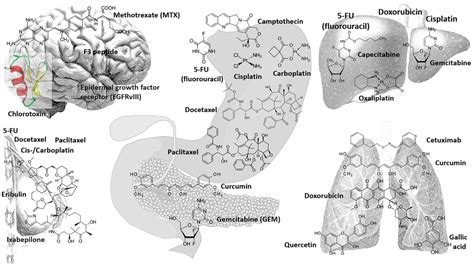 Chemistry | Free Full-Text | Magnetic Nanoparticles: Current Advances ...