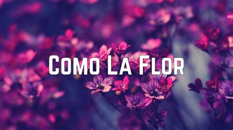 Selena - Como La Flor (Lyrics) Chords - Chordify