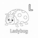 Premium Vector  Ladybug Alphabet ABC Coloring Page L sketch template