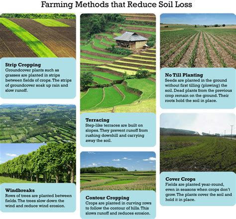 13.11: Avoiding Soil Loss - K12 LibreTexts