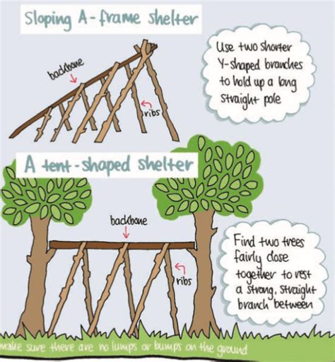 What Makes A Good Survival Shelter? | A Guide to Natural Shelters - Prepper World