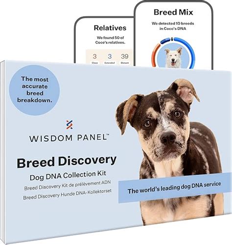 Amazon.com: Wisdom Panel Dog DNA Test Kit - Canine Breed Identification and Ancestry Information ...