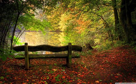 Autumn Free Wallpaper - Empty Bench In Fall Scene Wallpapers - HD ...