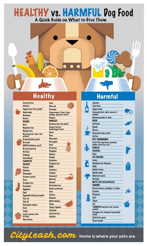 Healthy and Harmful Food for your Dogs | CityLeash Table Scraps, Human ...