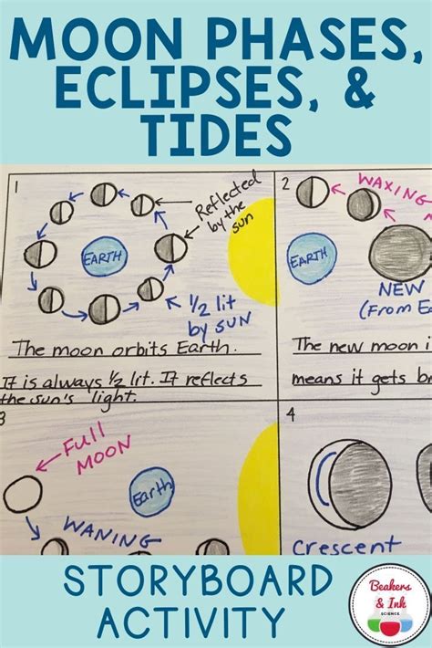 Phases Eclipses And Tides Worksheets