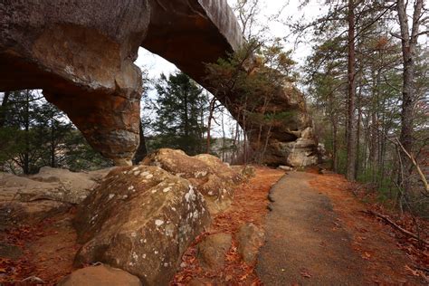 Sky Bridge | Red River Gorge | MarcusDC | Flickr