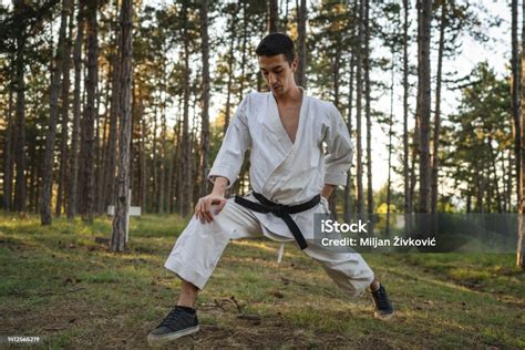 One Caucasian Man Karateka Training Karate In Forest In Day In Nature Stock Photo - Download ...