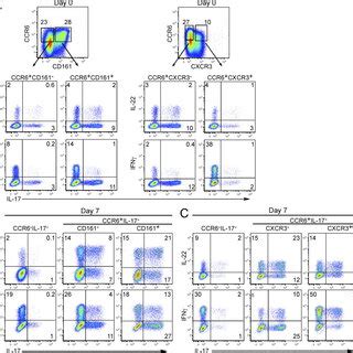 IL-17 induction in response to γc-cytokine stimulation is a conserved ...