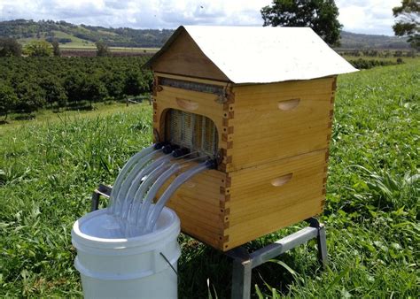 New beehive harvests honey without bugging bees (pictures) - CNET