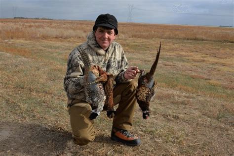 Hunting Tips for Pheasant Hunting Success