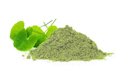 Wholesale market for Thai quality productsOrganic Gotu Kola Extract Powder. Centella Asiatica ...