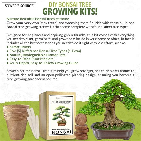 Bonsai Tree Kit - Indoor and Outdoor Starter Seed Kit, Soil Mix, Biodegradable Planter Pots ...