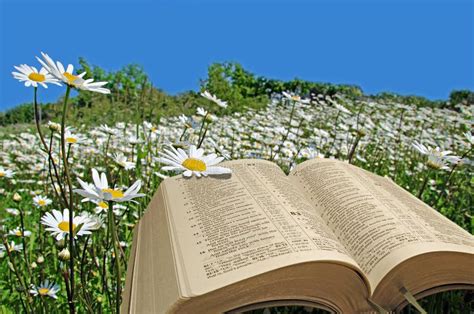 Open Bible Flowers Stock Photos - Download 371 Royalty Free Photos