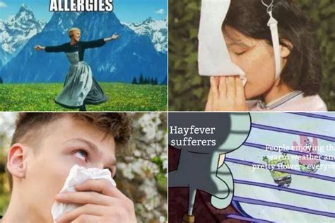 19 hilarious memes that all hay fever sufferers will be able to relate ...