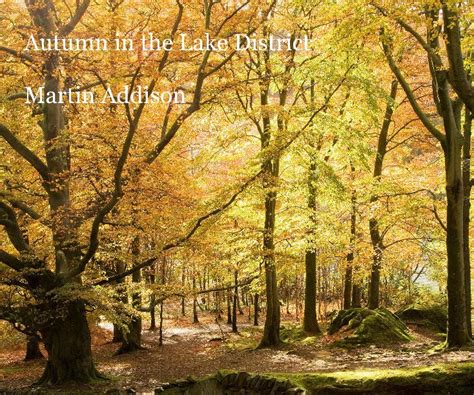 Autumn in the Lake District by Martin Addison | Blurb Books