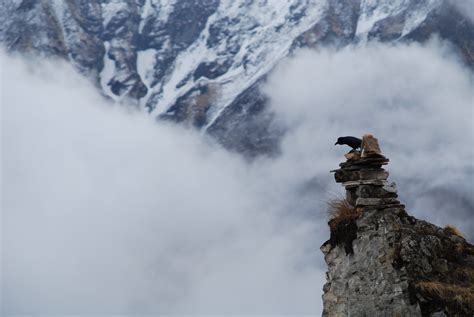 图片素材 : 雪, 冬季, 鸟, 云, 冒险, 山脉, 天气, 极限运动, 地形, 岭, 首脑, 尼泊尔, 登山, 体育, 阿尔卑斯山, 凯恩, 安纳布尔纳, 大气现象, 山地地貌, 地质现象 ...