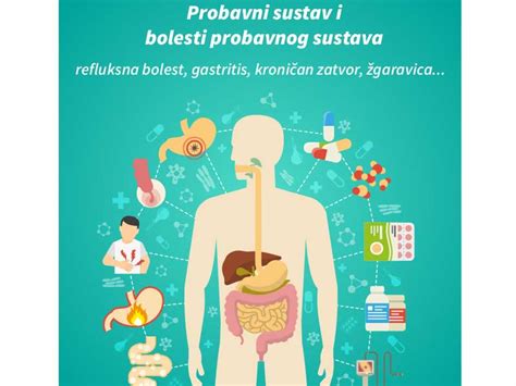 Probavni sustav – bolesti probavnog sustava - MB Natural - Ljekovito bilje - Čajne mješavine