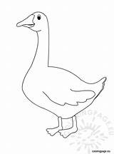 Cute Coloring Pages Geese sketch template