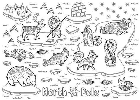 North Arctic Circle Animals Coloring Pages