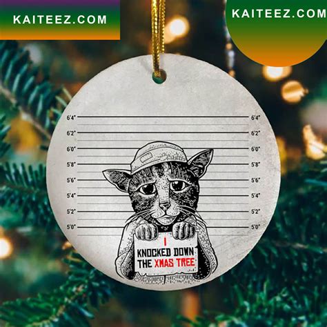 Funny Cat Mugshot Christmas 2022 Ceramic Ornament - Kaiteez