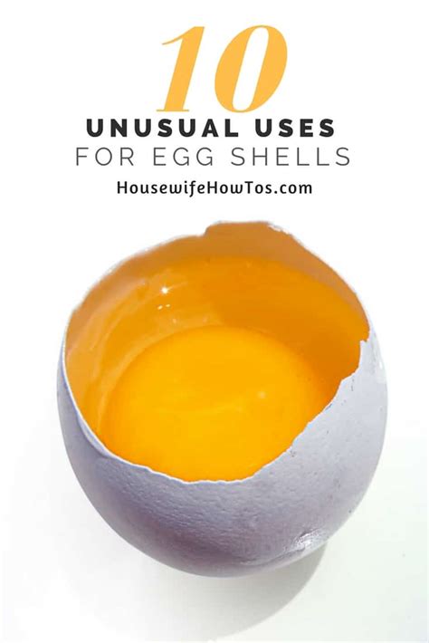 10 Unusual Uses For Eggshells • Housewife How-To's®