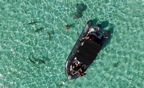 Moorea Swim with Sharks and Rays - Moorea Ocean Adventures