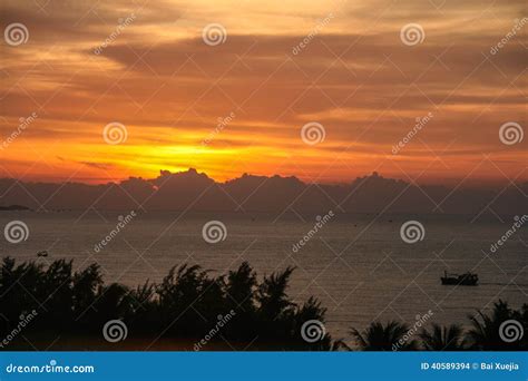 The sunrise in vietnam stock photo. Image of tree, vietnam - 40589394