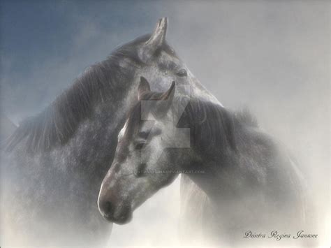 two horses in mist by dzintraregina on DeviantArt