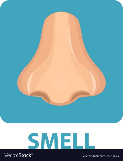 Sense of smell icon flat style nose isolated on Vector Image