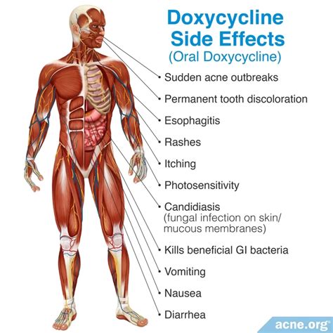 The Side Effects of Antibiotics - Acne.org