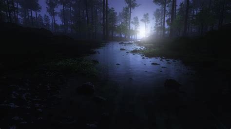 Supermassive Dump (Of Wallpapers in 4K) | Night forest, Landscape wallpaper, Water