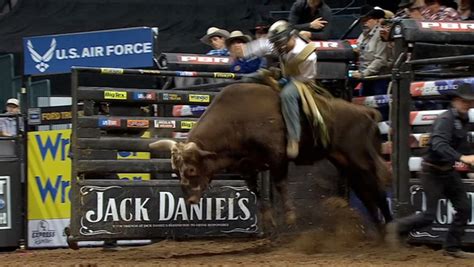 Bushwacker the Bucking Bull Confounds the Cowboys - The New York Times