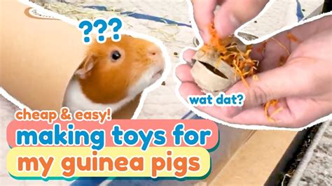 Homemade Guinea Pig Chew Toys | Wow Blog